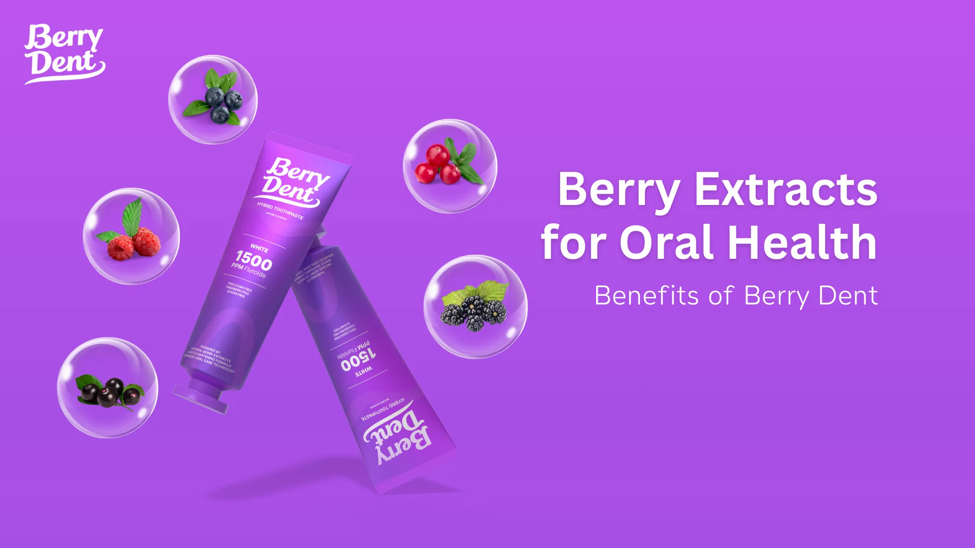 Berry Extracts for Oral Health Benefits of Berry Dent