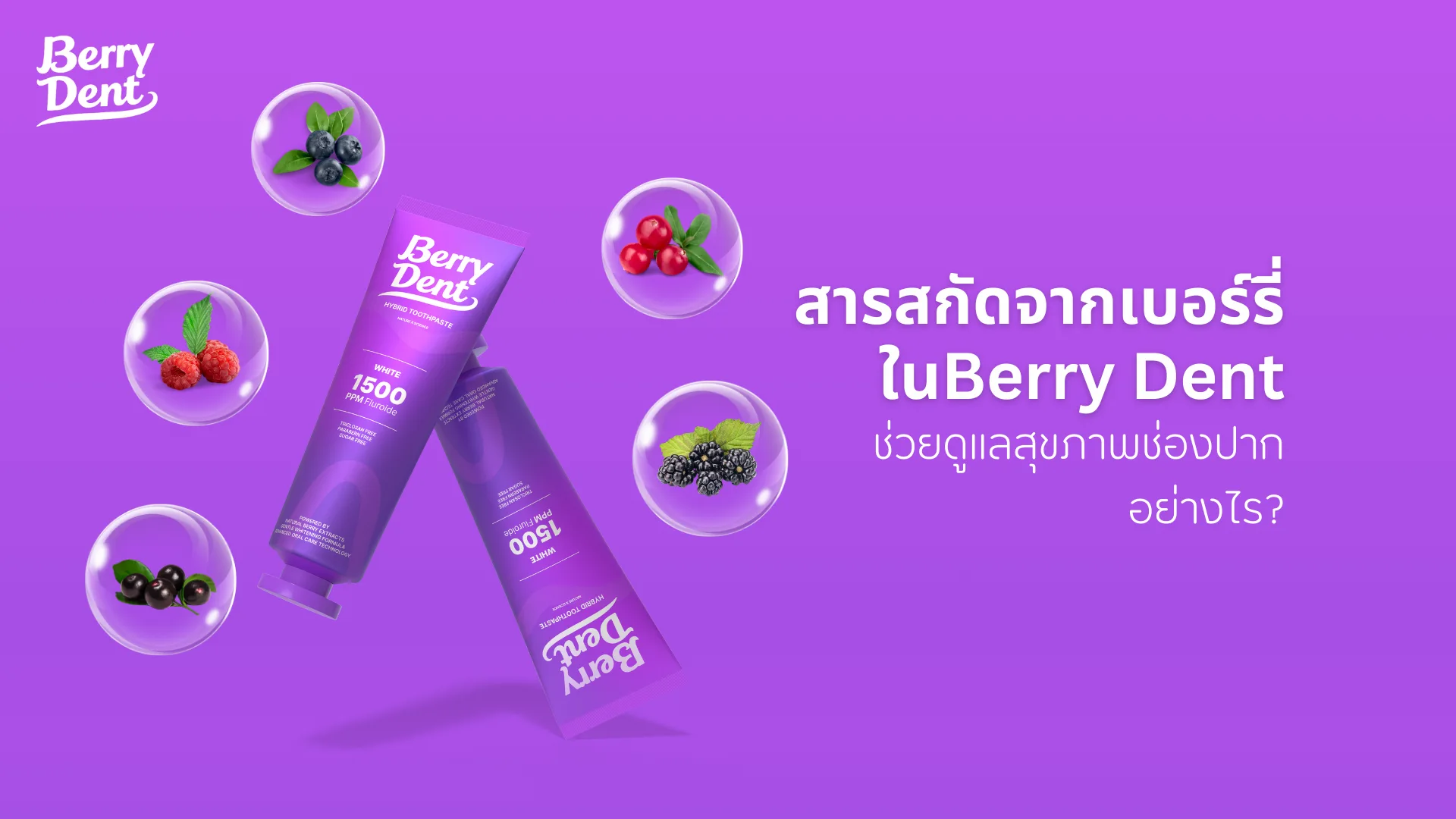 สารสกัดจากเบอร์รี่ในยาสีฟัน Berry Dent ช่วยดูแลสุขภาพช่องปากอย่างไร