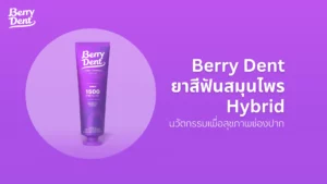 Berry Dent ยาสีฟันสมุนไพร Hybrid นวัตกรรมเพื่อสุขภาพช่องปาก