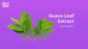 Guava Leaf Extract: Gum Health?