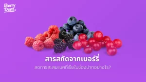 สารสกัดจากเบอร์รี่ลดการสะสมแบคทีเรียในช่องปากอย่างไร?