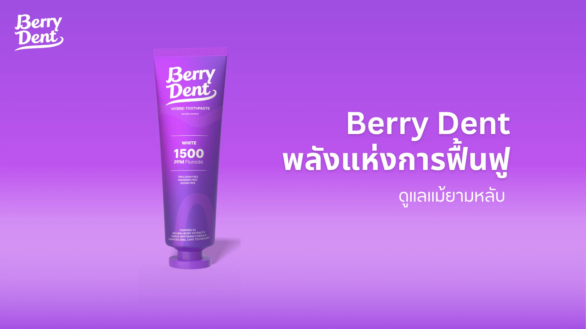 Berry Dent พลังแห่งการฟื้นฟู ดูแลแม้ยามหลับ