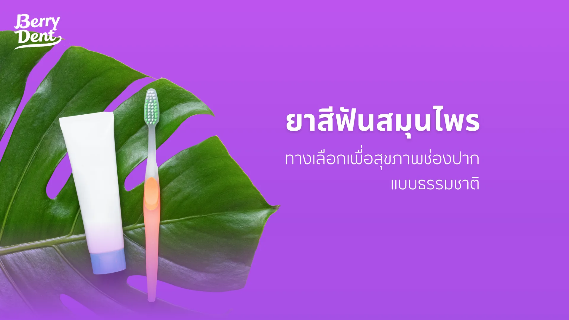 ยาสีฟันสมุนไพร ทางเลือกเพื่อสุขภาพช่องปากแบบธรรมชาติ
