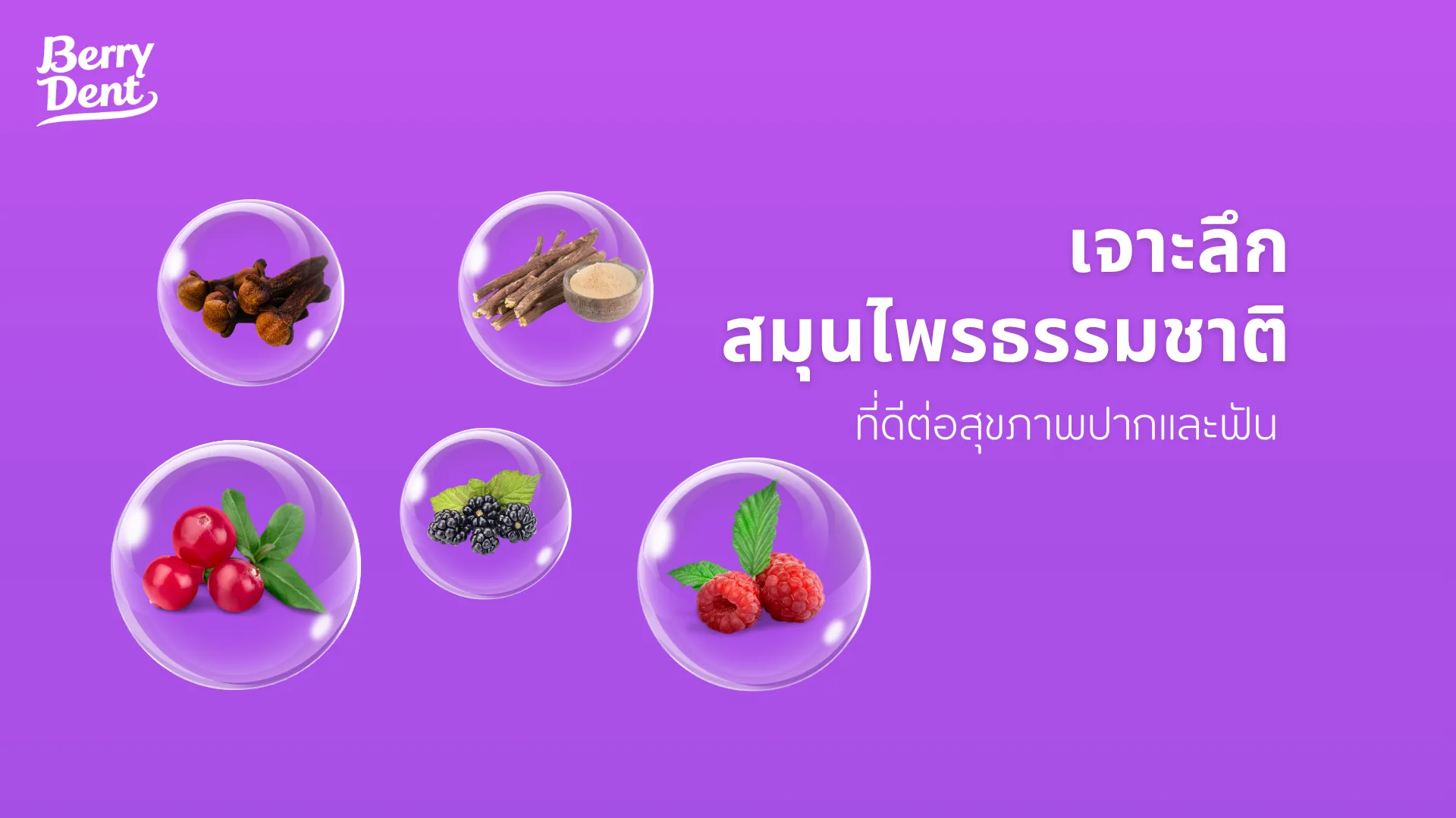 เจาะลึกสมุนไพรธรรมชาติ ที่ดีต่อสุขภาพปากและฟัน