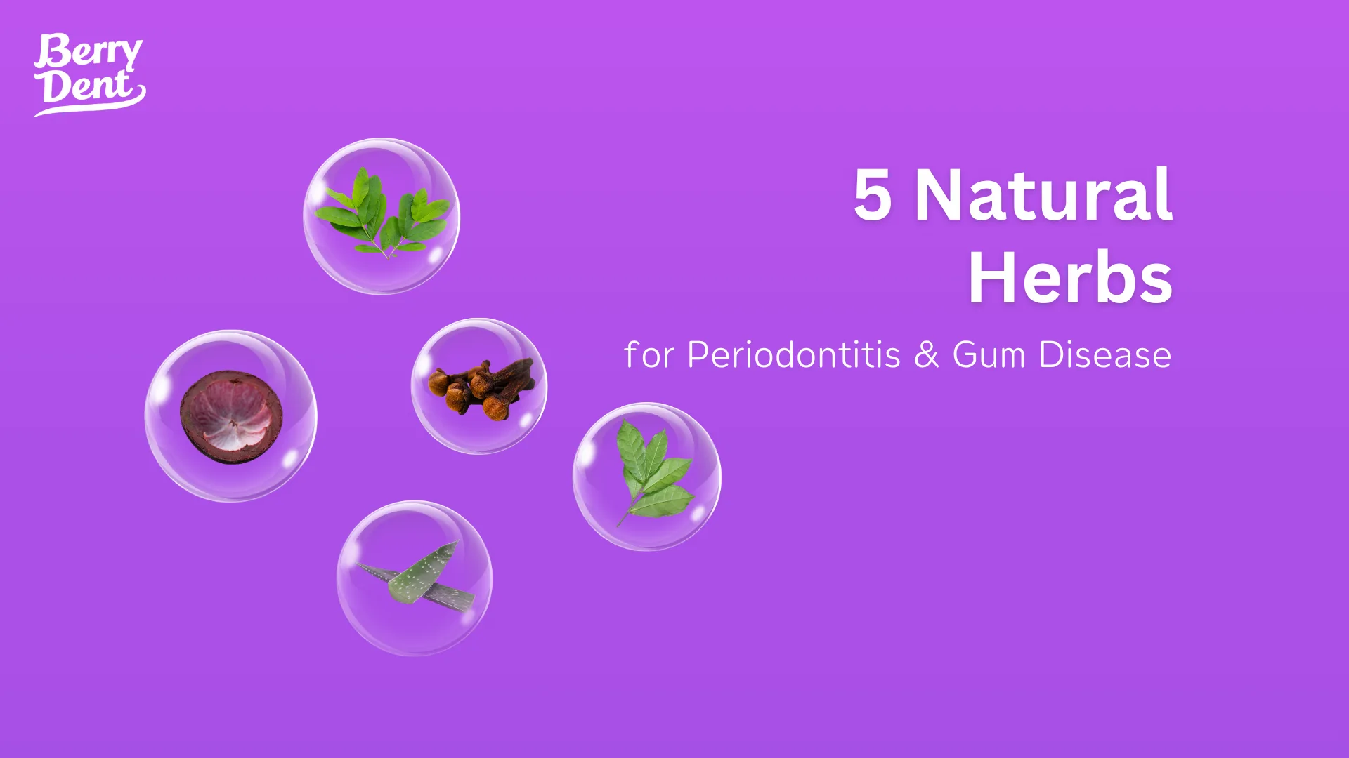5 Natural Herbs for Periodontitis & Gum Disease