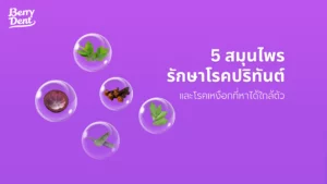5 สมุนไพรรักษาโรคปริทันต์และโรคเหงือกที่หาได้ใกล้ตัว