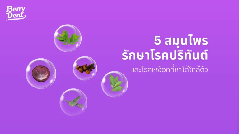 5 สมุนไพรรักษาโรคปริทันต์และโรคเหงือกที่หาได้ใกล้ตัว