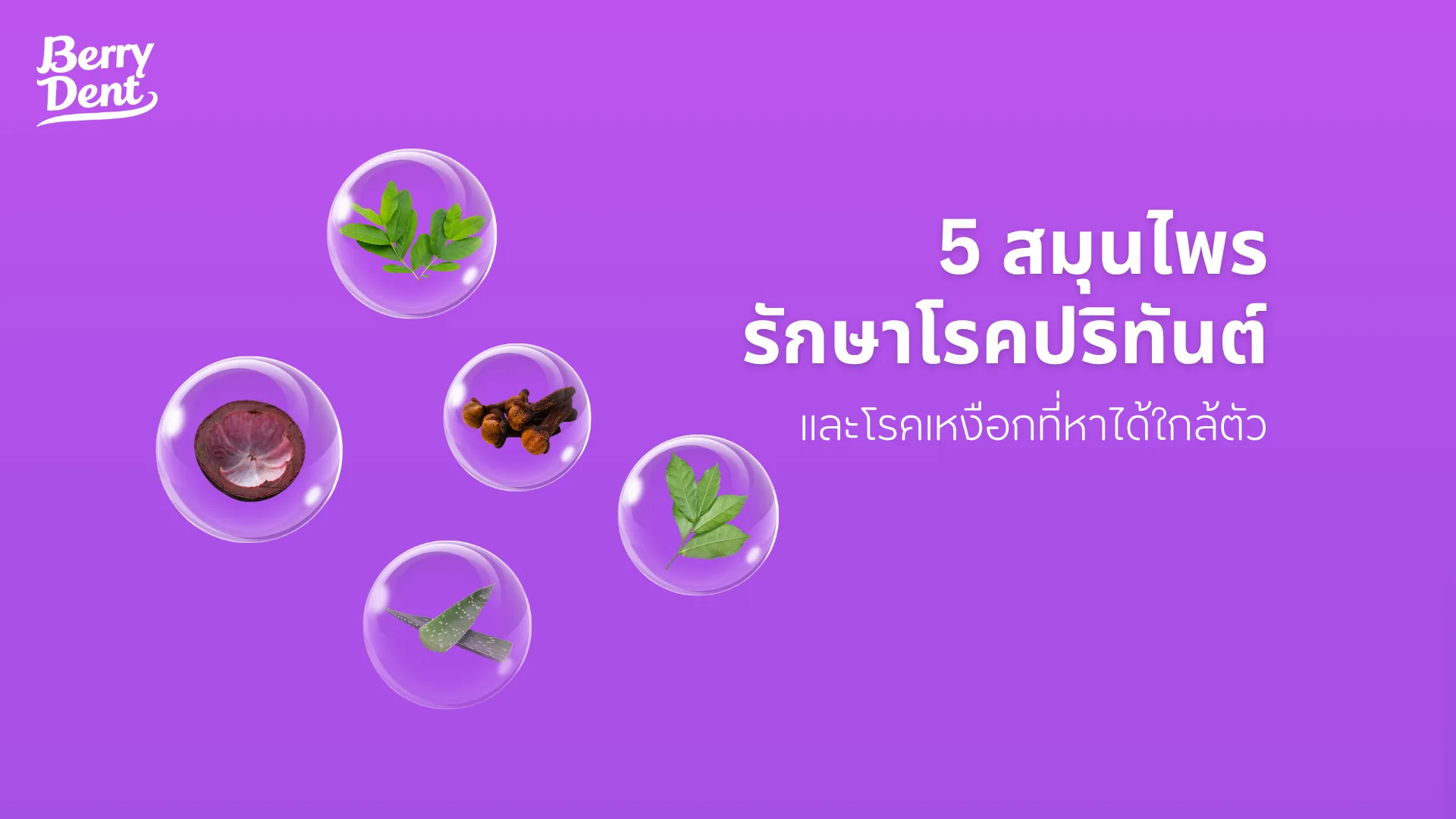 5 สมุนไพรรักษาโรคปริทันต์และโรคเหงือกที่หาได้ใกล้ตัว