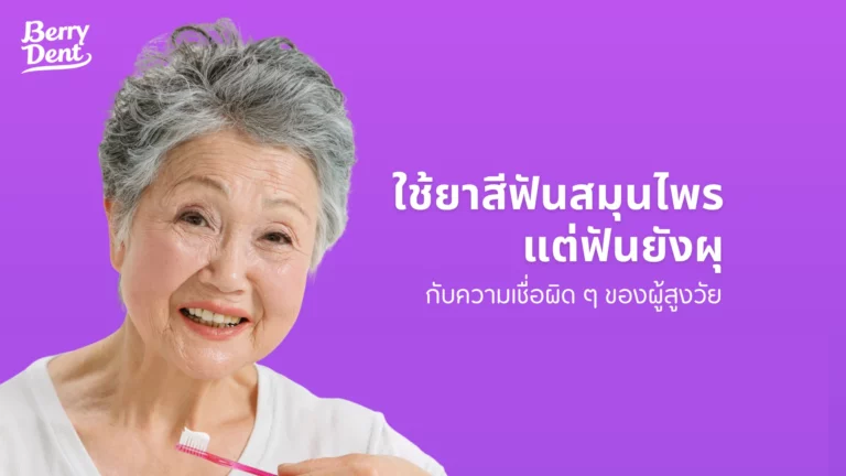 ใช้ยาสีฟันสมุนไพรแต่ฟันยังผุ กับความเชื่อผิด ๆ ของผู้สูงวัย